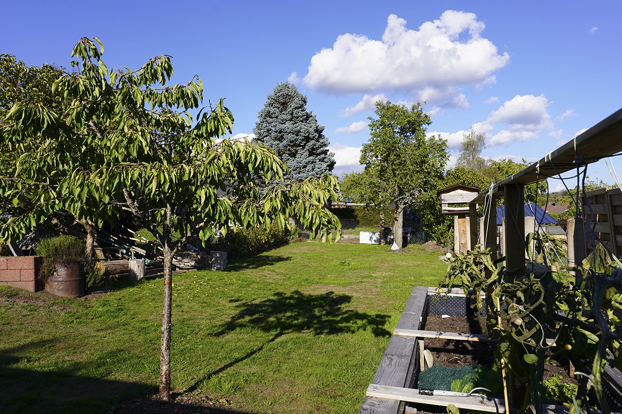 Grundstück Ansicht 2