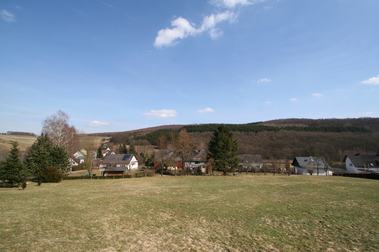 Rückansicht- Blickrichtung Haus und Grundstück